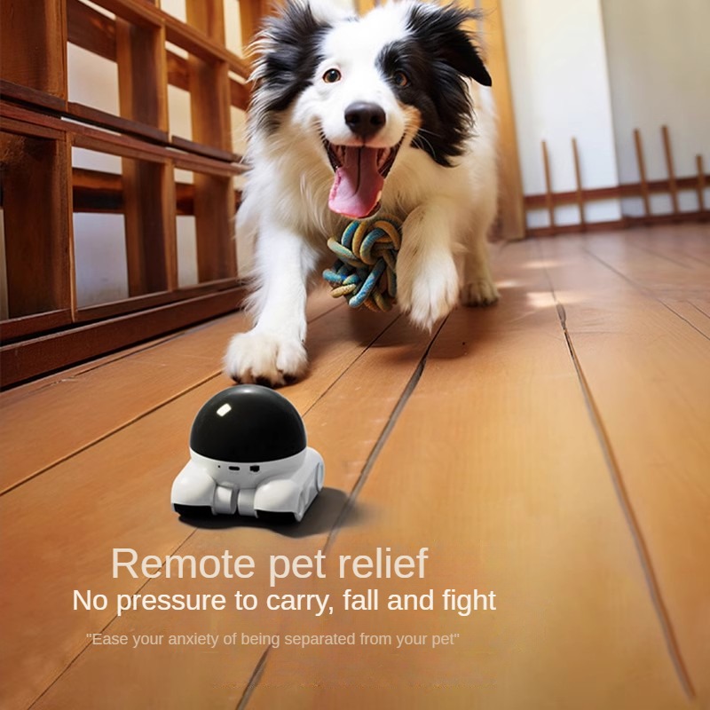 الذكية المزدوجة عدسة IP قبة كا - مراجعة Home Security Robot Dog وسعره