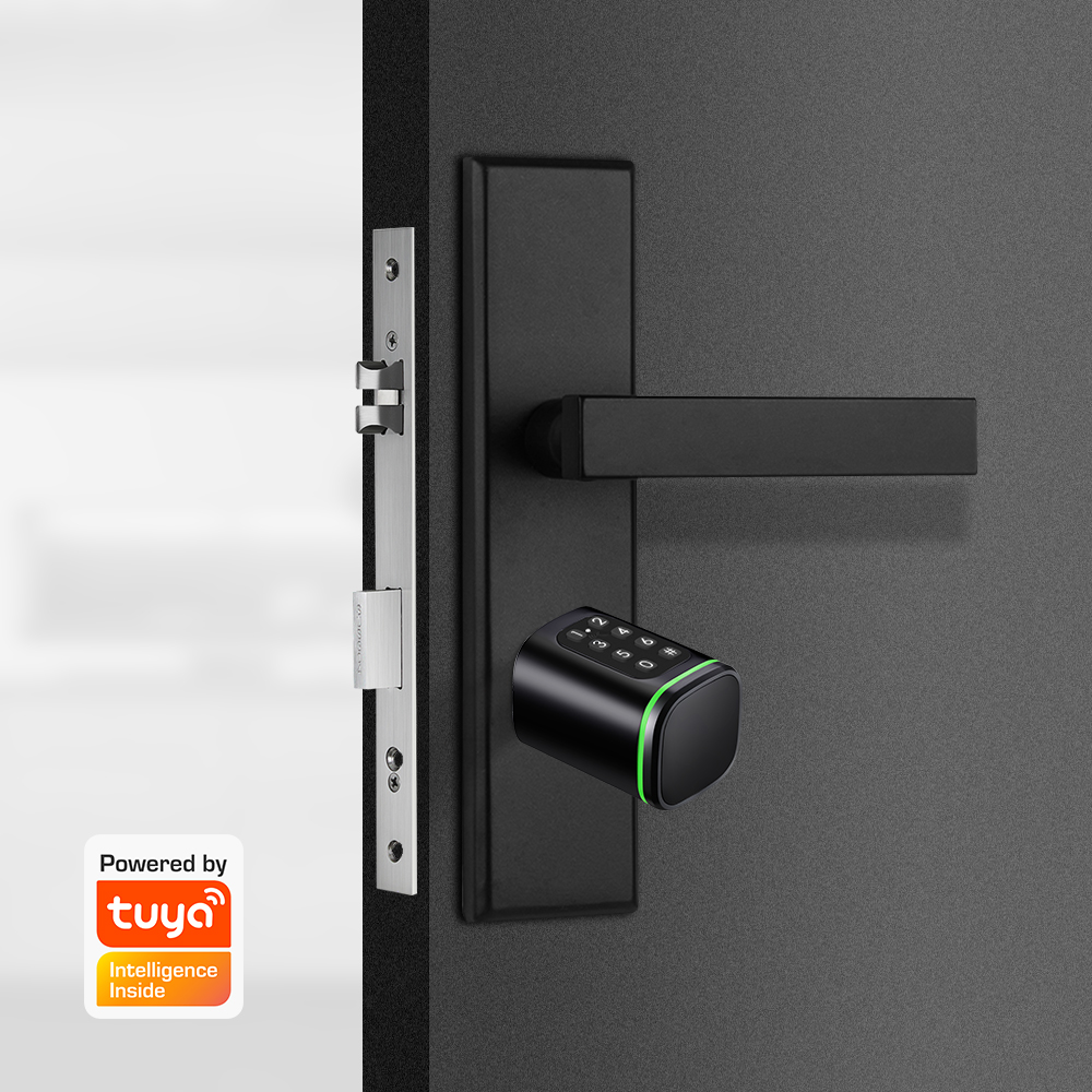 قفل اسطوانة ذكي تويا 60-90 ملل - مراجعة Home Security Tips وسعره